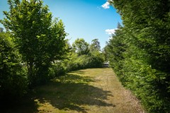 Foto 72.jpg